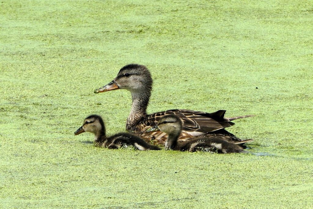 育児中の肌荒れ対策にはどんな方法がある？