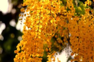 夏から秋のかゆみケアにおすすめの方法は？