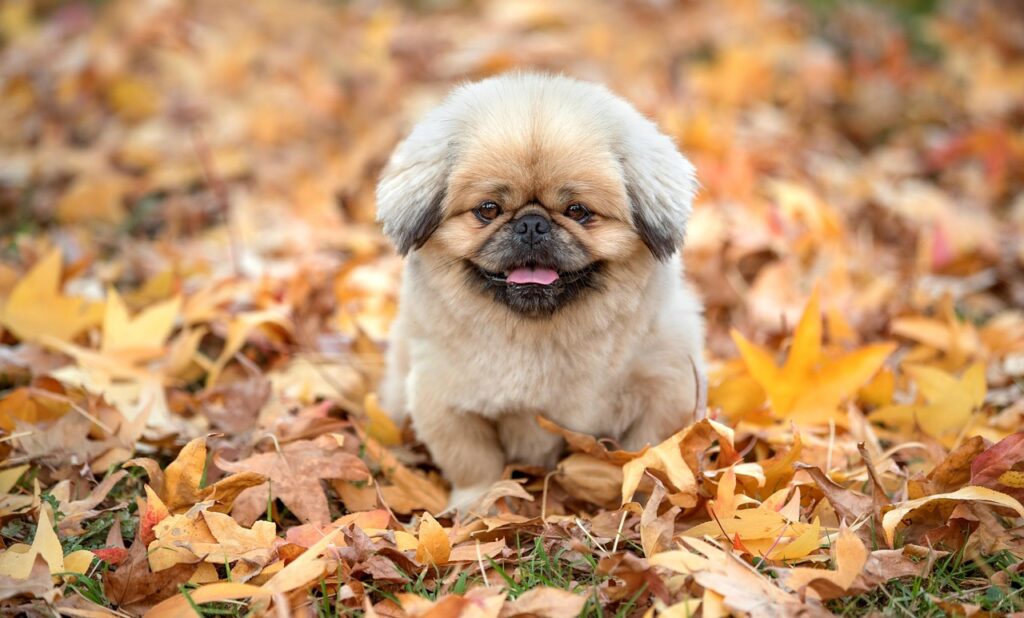 夏から秋のゆらぎ肌対策にはどんな方法がある？