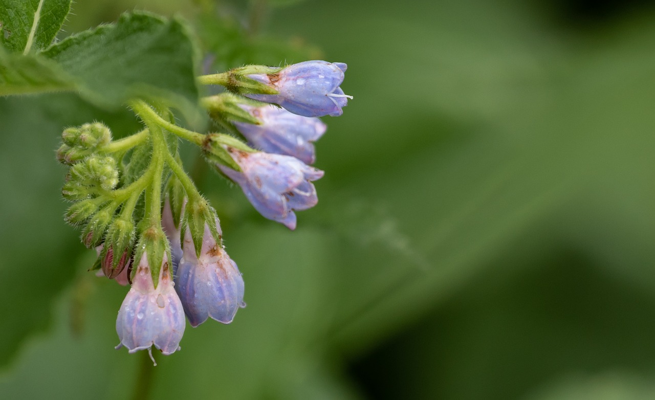 季節の変わり目に効果的なニキビ対策は？