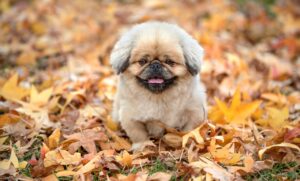 忙しい秋にぴったりのスキンケア方法は？