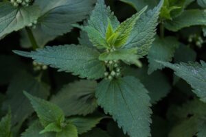 秋冬のかゆみ対策にはどんな方法が効果的ですか？