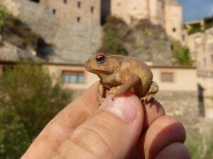 秋冬の肌荒れ対策に効果的なスキンケア方法は？