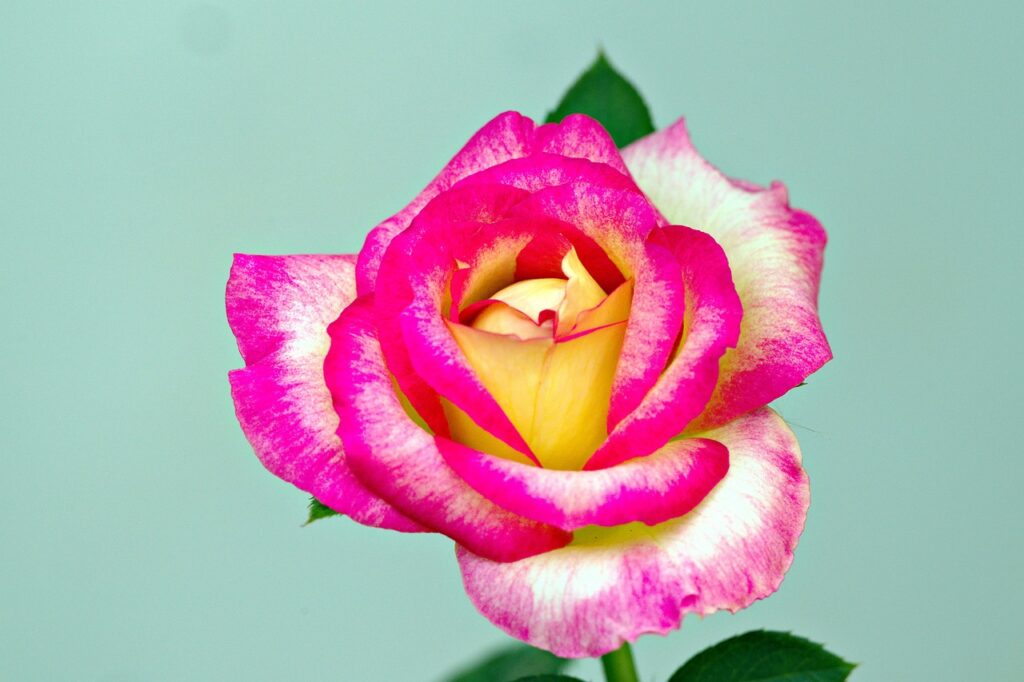 秋冬の赤み対策に効果的な方法は？