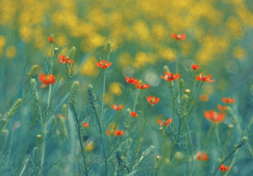 季節の変わり目における肌荒れ対策としてのスキンケア診断は？