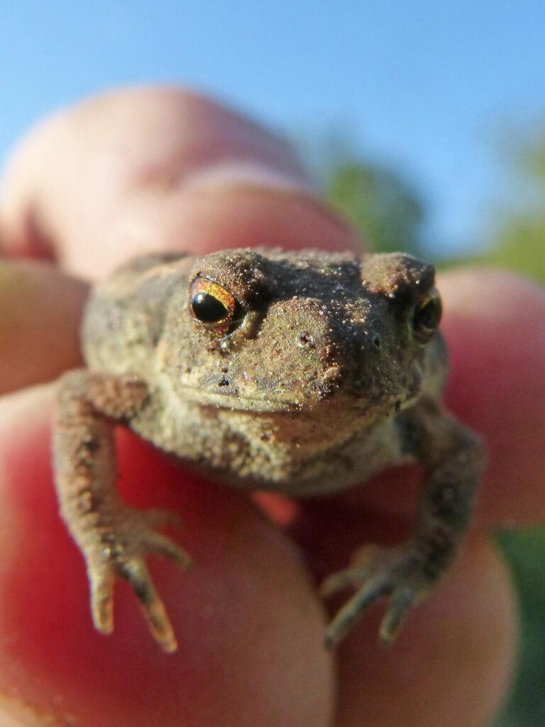 寒暖差によって肌荒れが起こるのはなぜ？