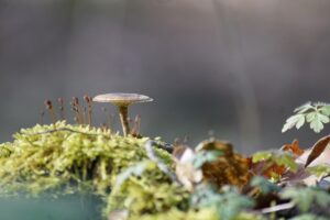 秋冬の乾燥対策で毛穴が開く原因とその解消法は？