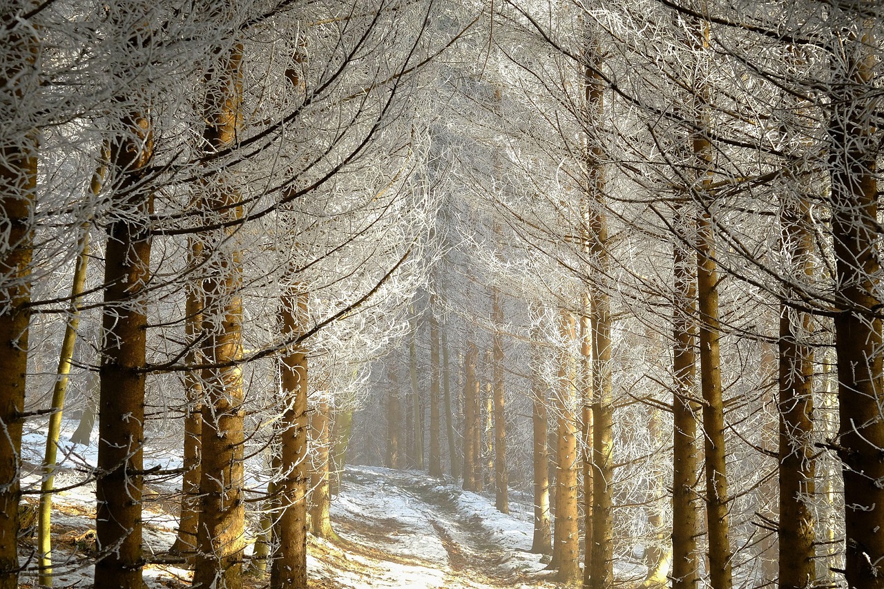 季節の変わり目に肌荒れを悩むアラサーへの対策は？