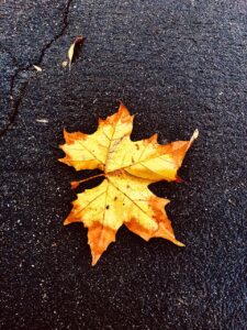 季節変化による肌荒れの対処クリニックはどこが効果的？