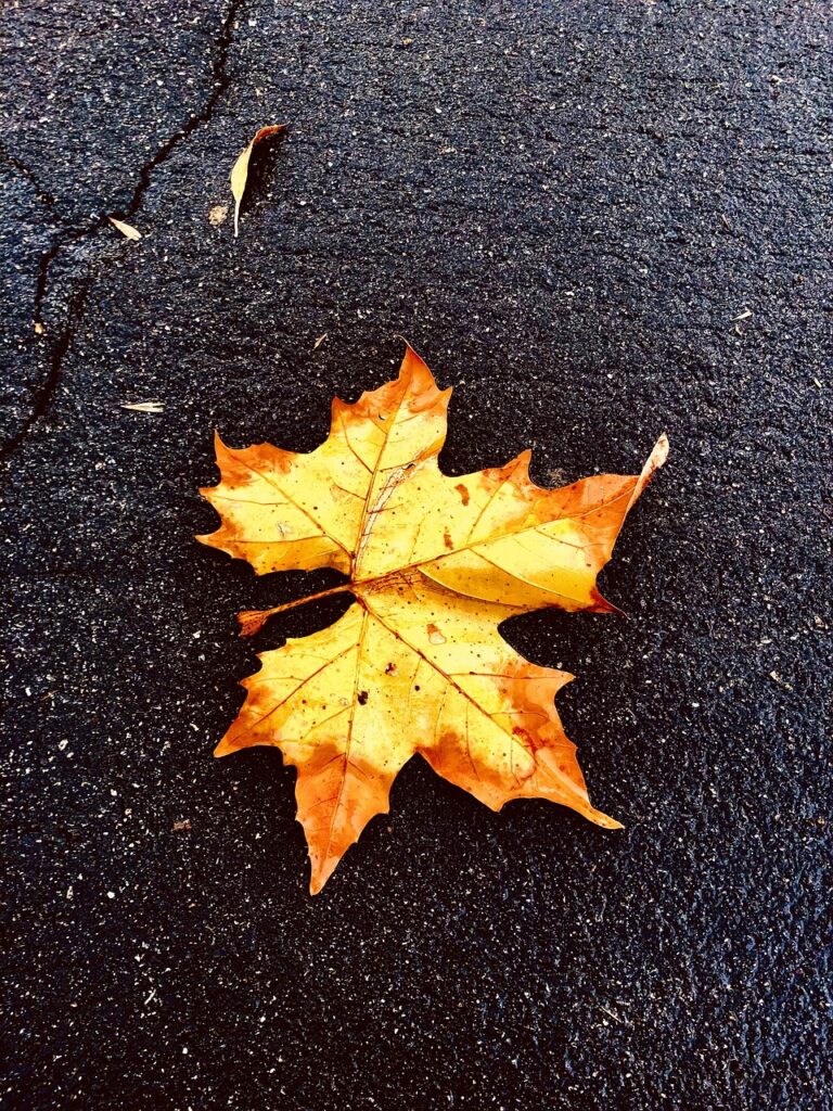 季節変化による肌荒れの対処クリニックはどこが効果的？