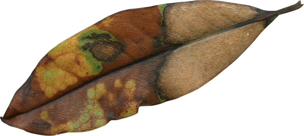 アラサーの肌乾燥は季節の変化が原因なのか？