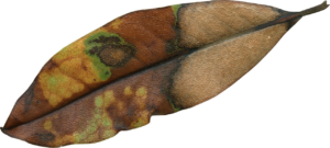 アラサーの肌乾燥は季節の変化が原因なのか？