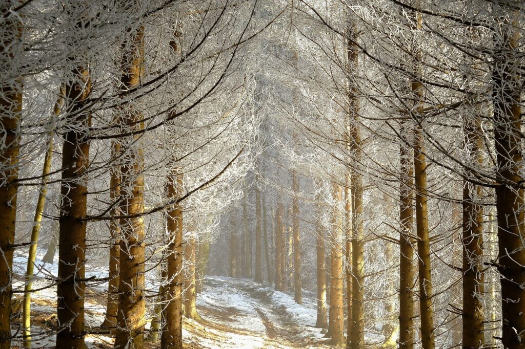 季節の変わり目による肌荒れが慢性化する前にできる対策は？