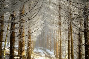 季節の変わり目による肌荒れが慢性化する前にできる対策は？