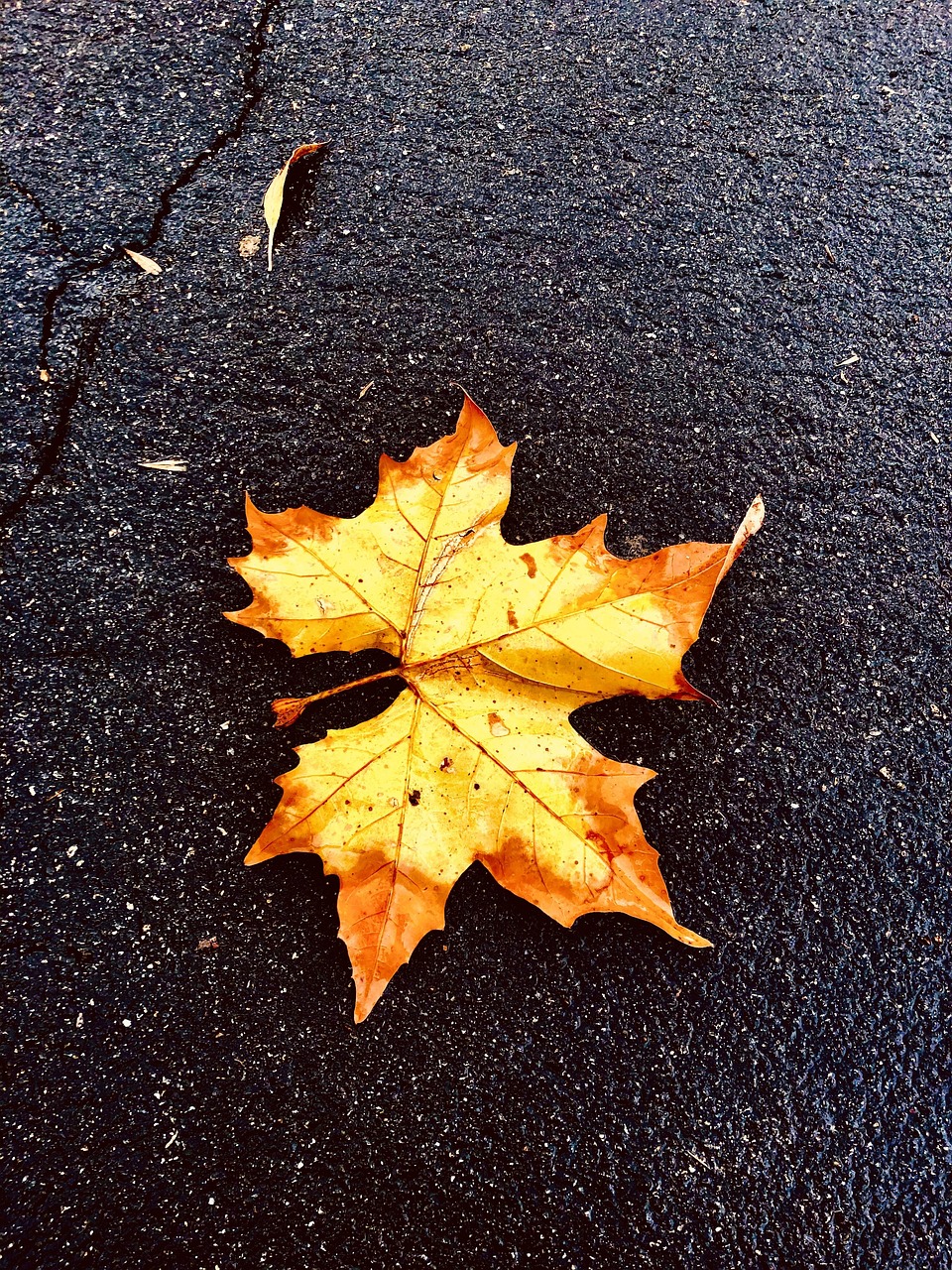 季節変化による肌のくすみ改善相談はどうすればいい？