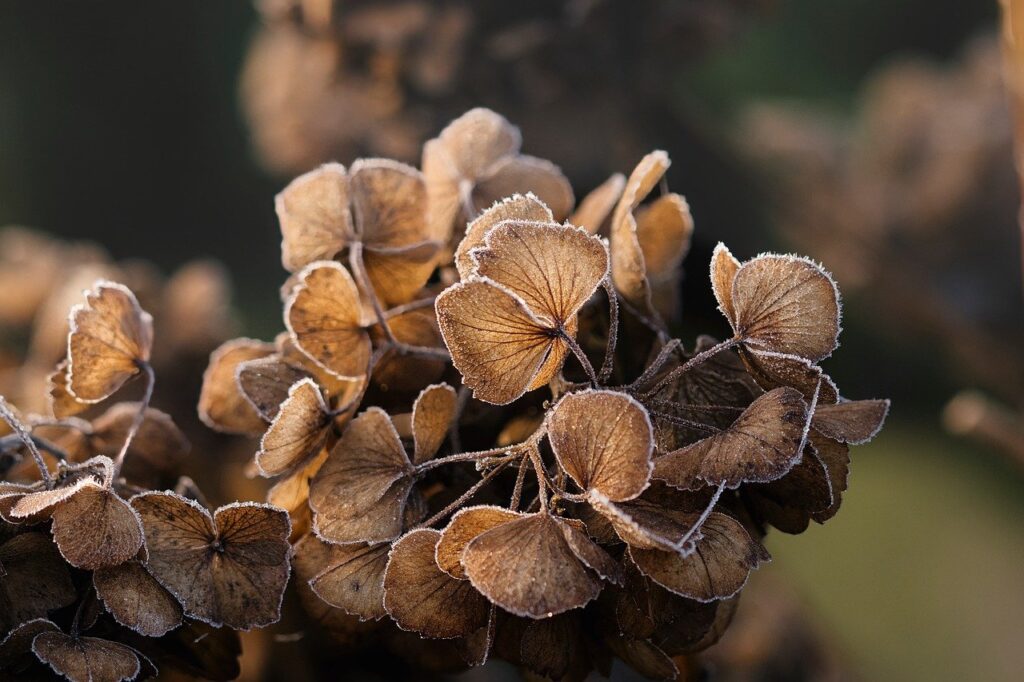 季節変化による肌の乾燥について相談できるクリニックは？