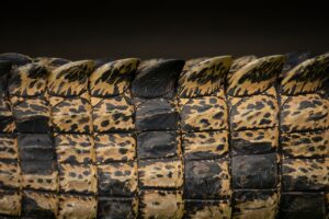 アラサーの肌くすみを解消するための季節ケアポイントは？