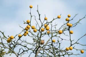 アラサーの肌の乾燥が悪化する季節はいつ？