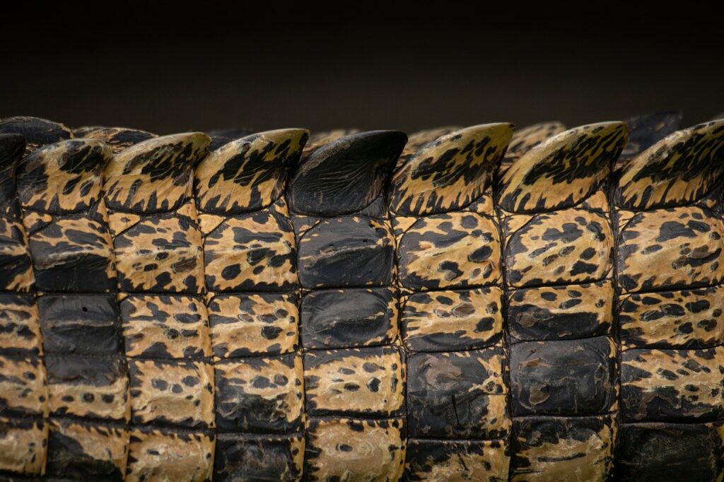 季節の変わり目に肌コンディションを回復するための方法は？