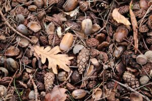 アラサーの季節の乾燥が悪化する原因とは？