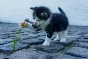 アラサーの肌の赤みを鎮静する季節ごとのケア方法は？