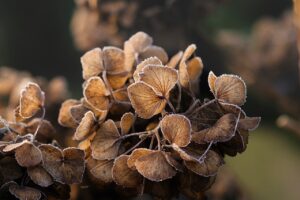 季節の変わり目にアラサーが気をつけるべき乾燥悪化対策は？