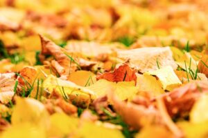 季節の変わり目に最適な洗顔方法は？