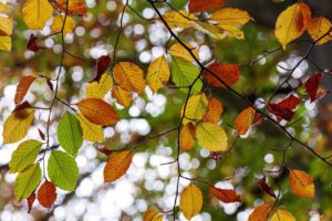 季節の変わり目に肌荒れを防ぐための保湿方法は？