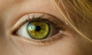 季節の変わり目に肌のゆらぎを防ぐための対策は？
